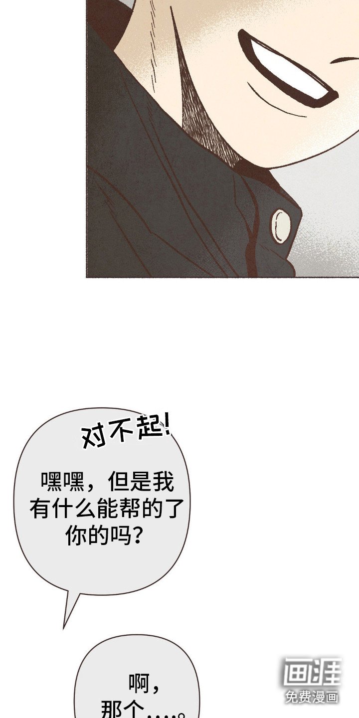 第75章：很相配