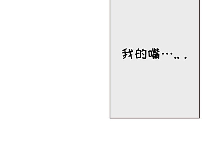 第75章：很相配