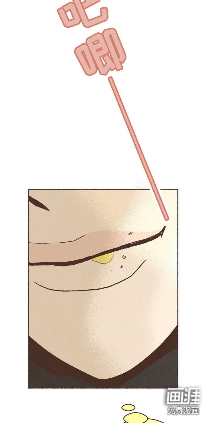 第75章：很相配