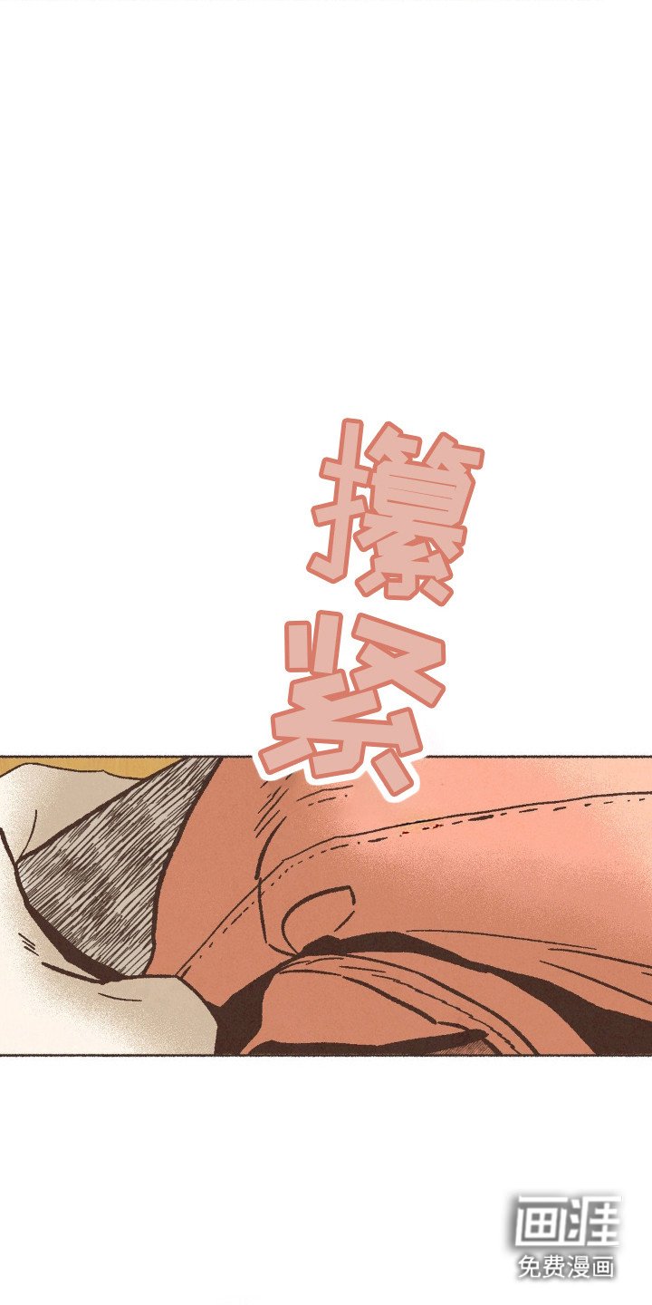 第75章：很相配