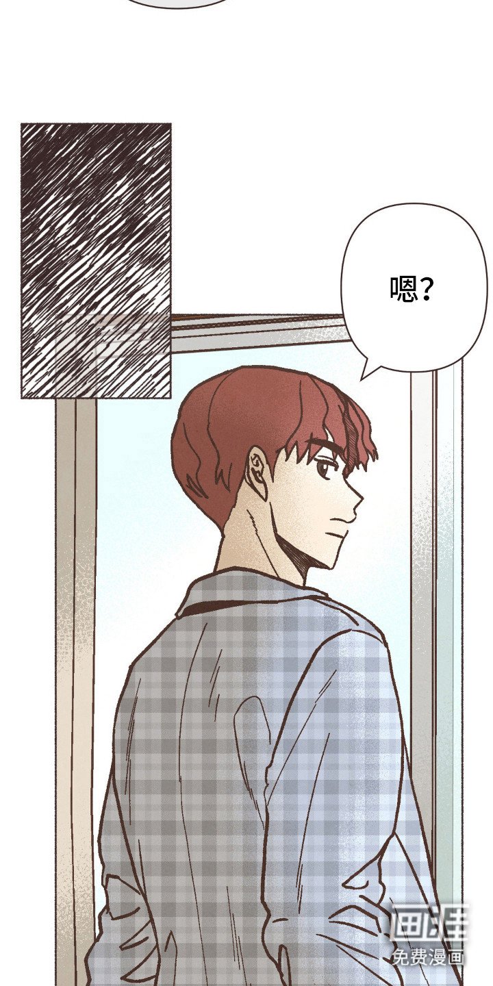 第75章：很相配