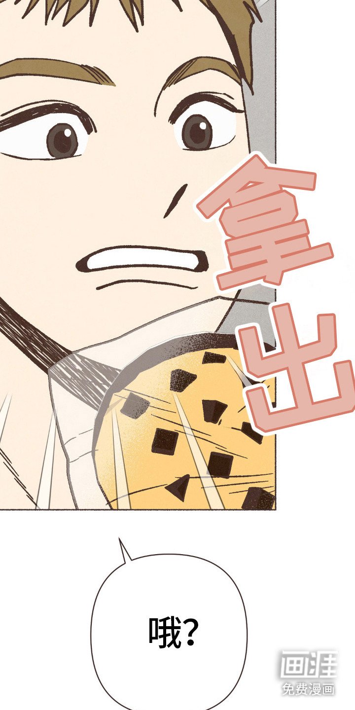 第79章：烘培