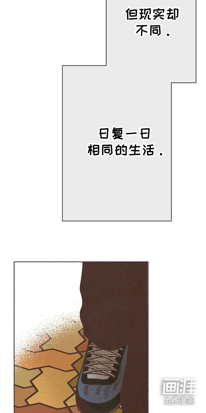 第82章：幻想
