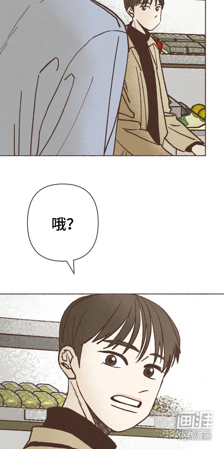 第84章：结婚了