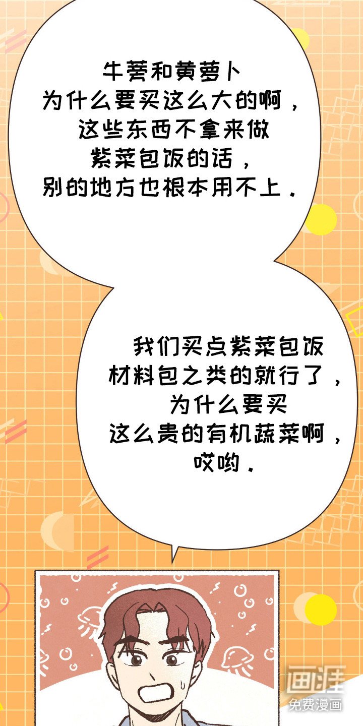 第84章：结婚了