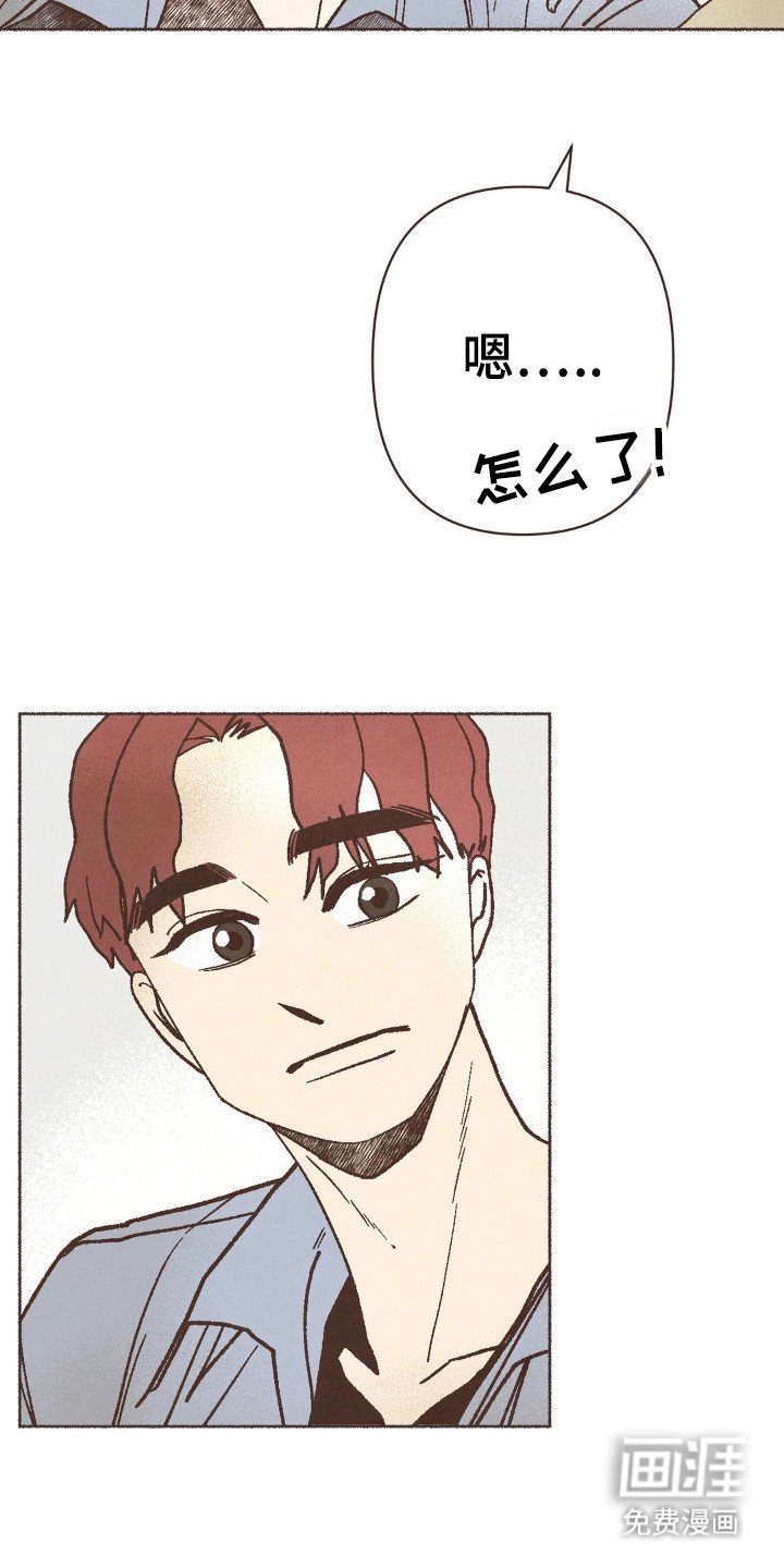 第84章：结婚了
