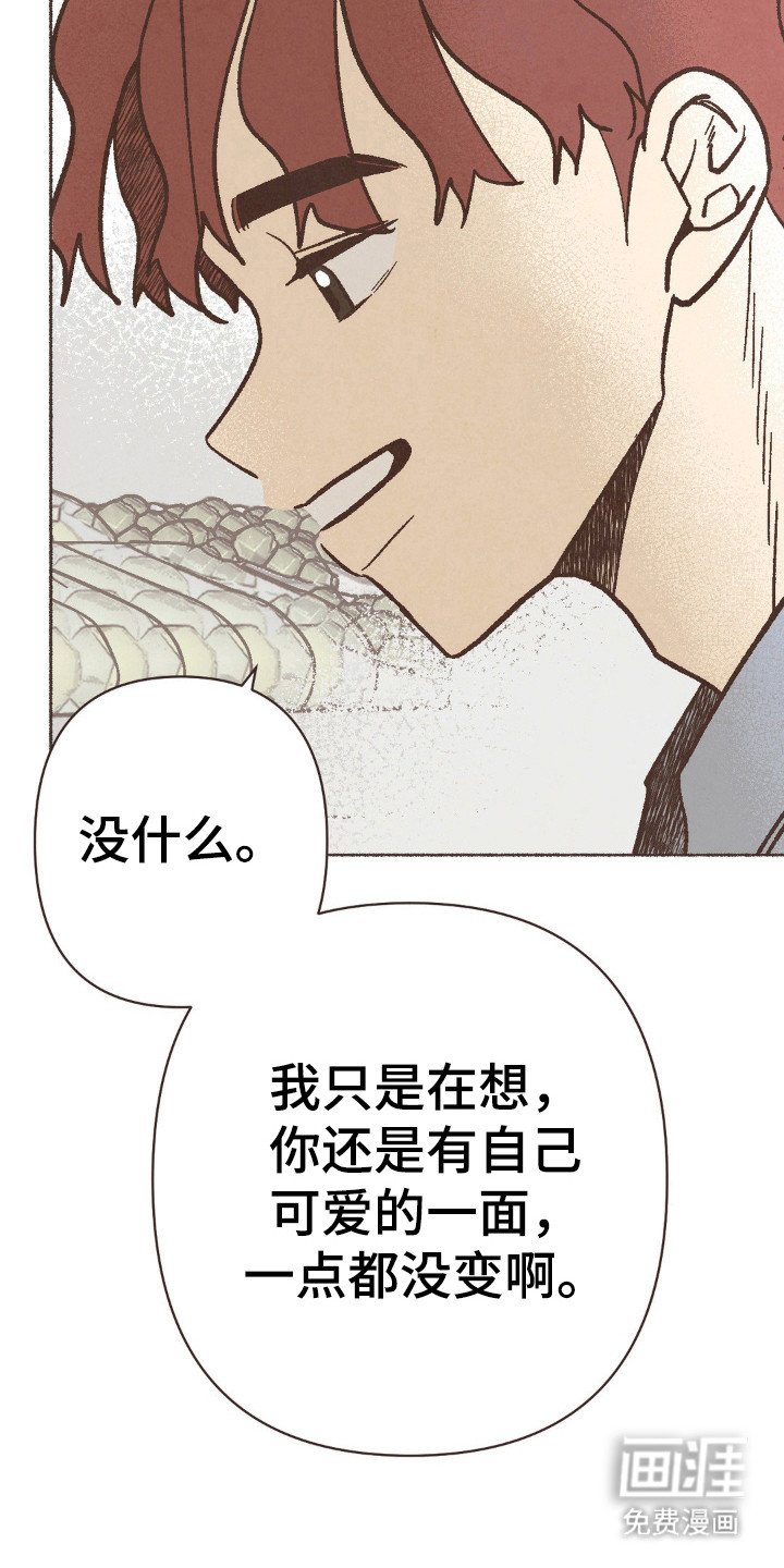 第84章：结婚了