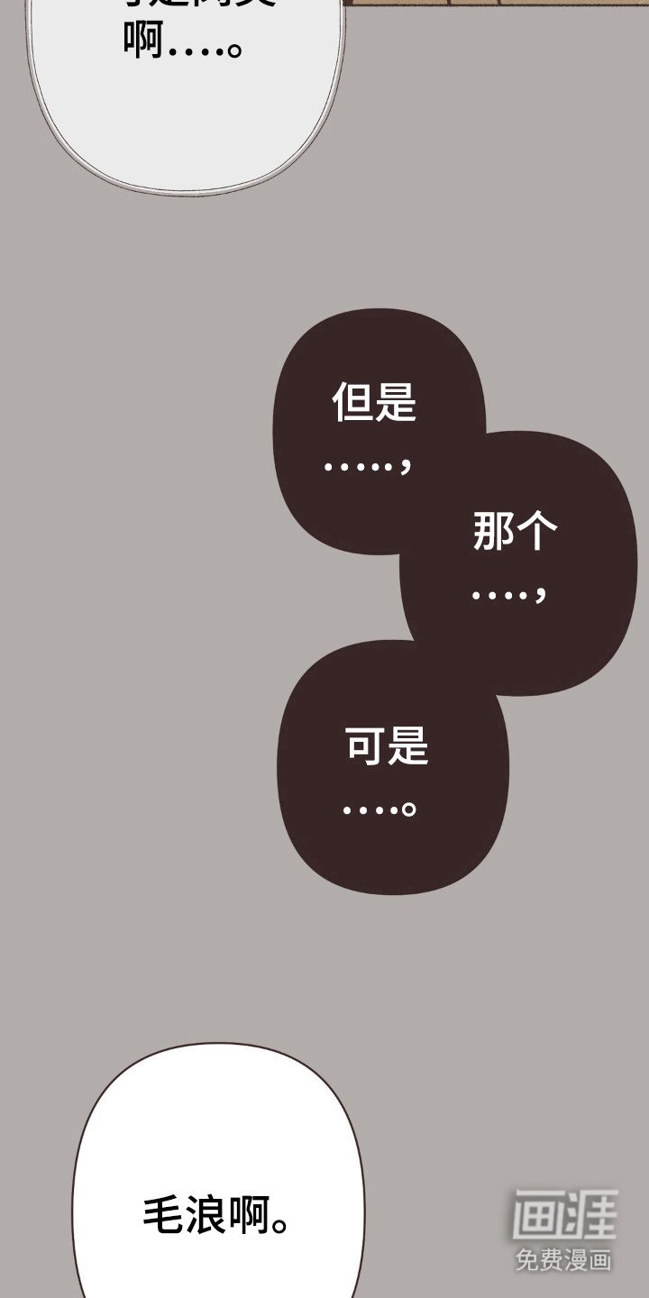 第89章：毛浪啊