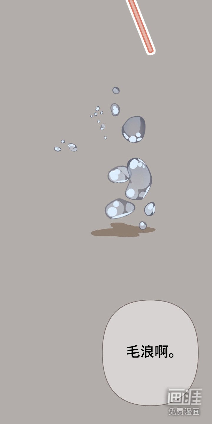 第89章：毛浪啊