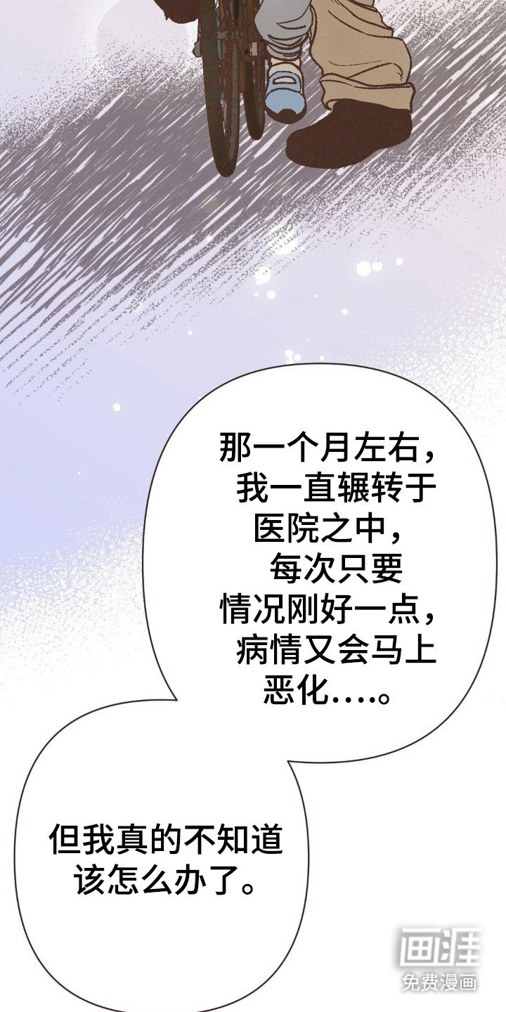 第95章：离婚