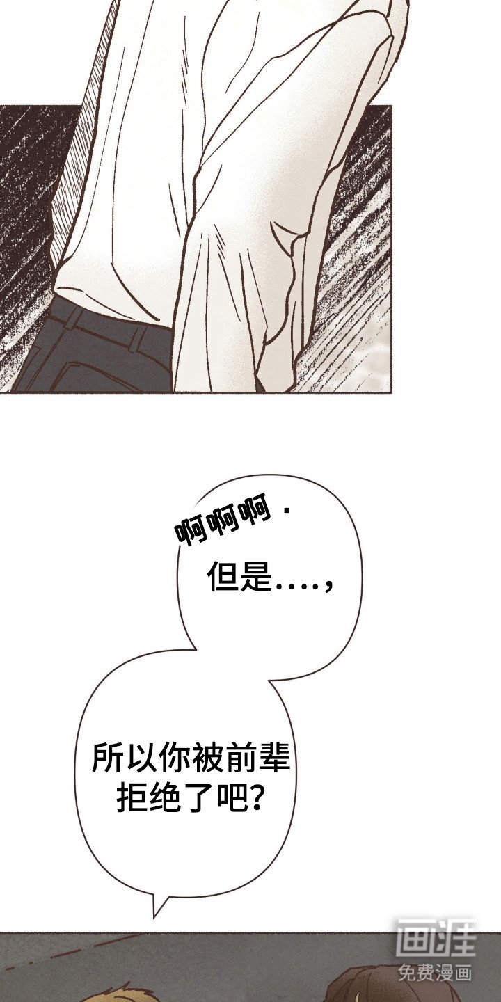 第95章：离婚