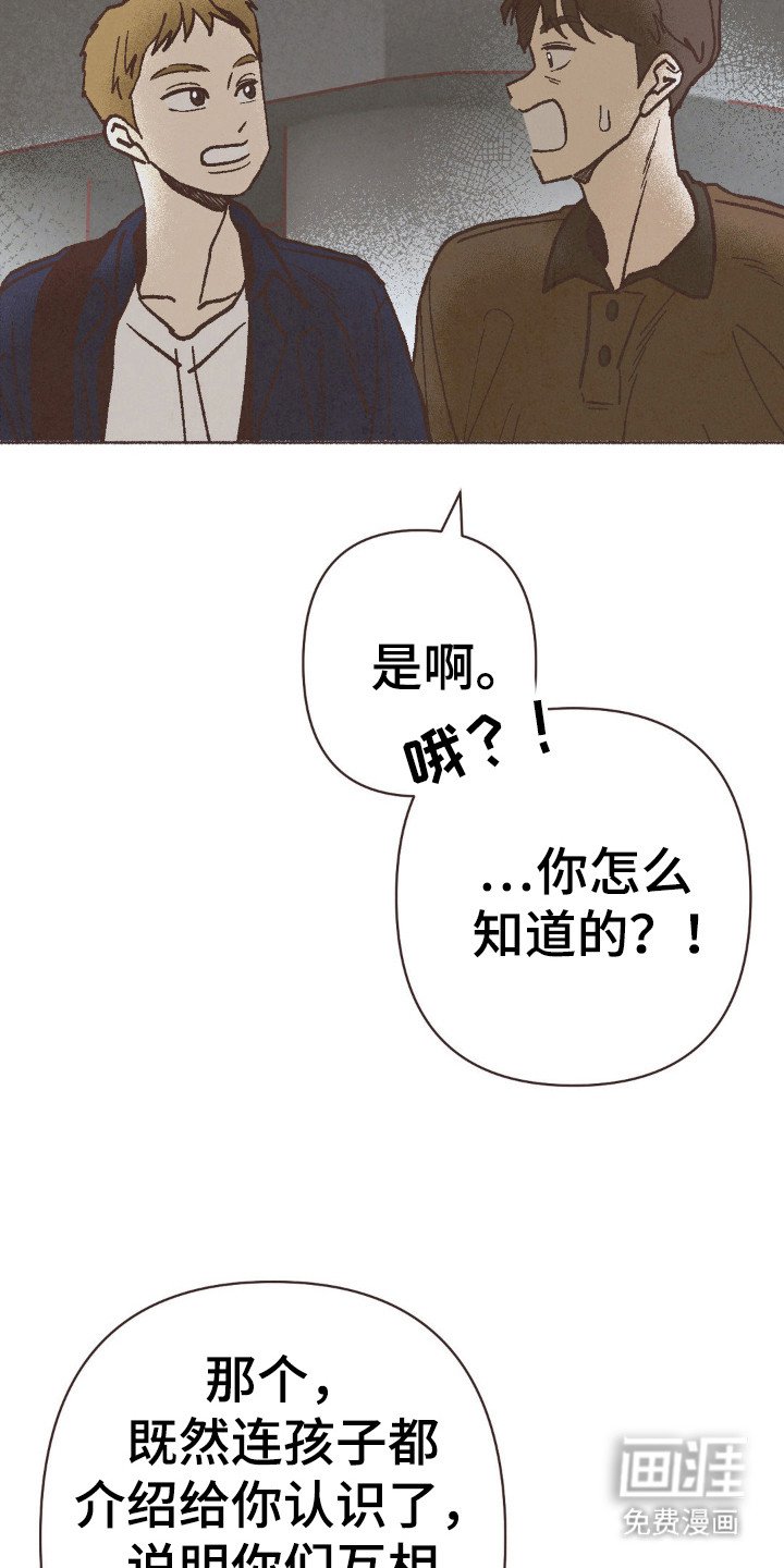 第95章：离婚