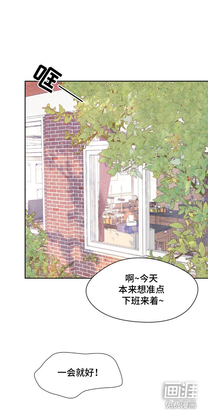 第13章：条件