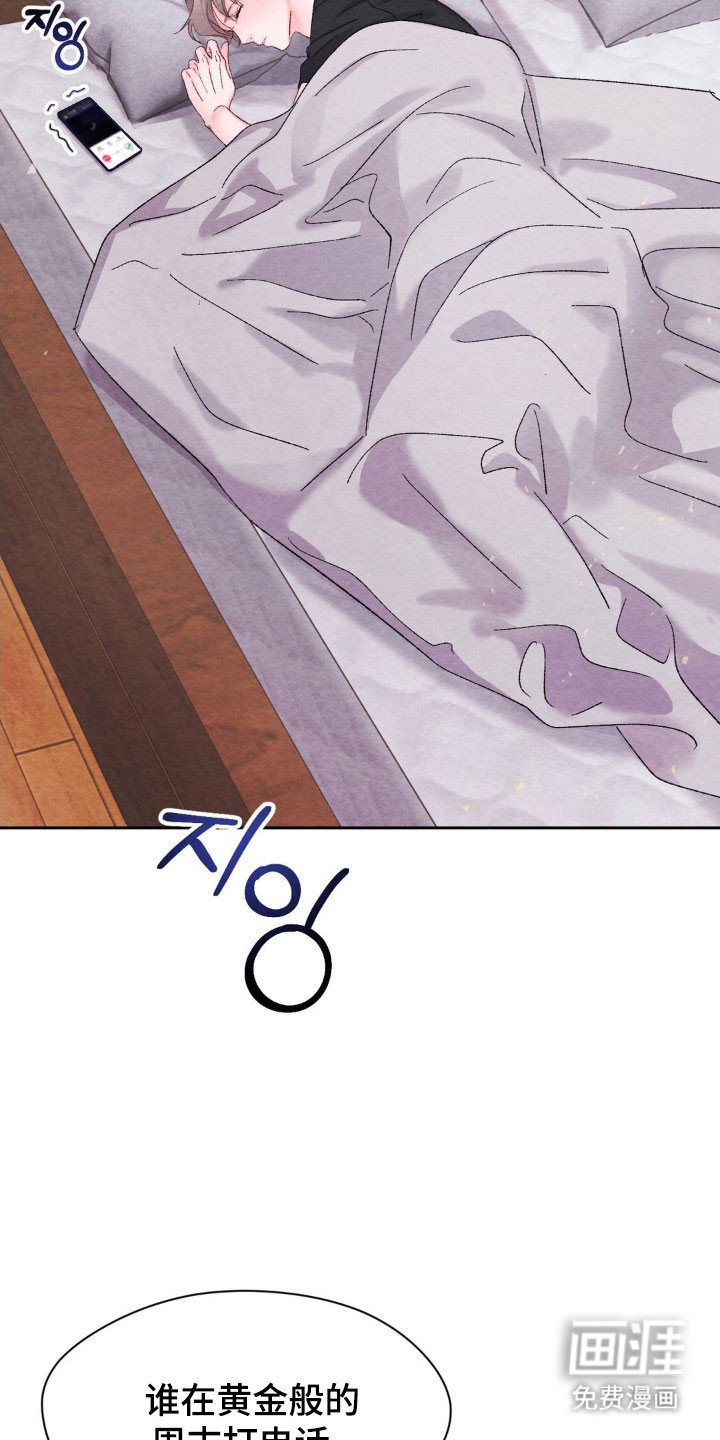 第19章：电话