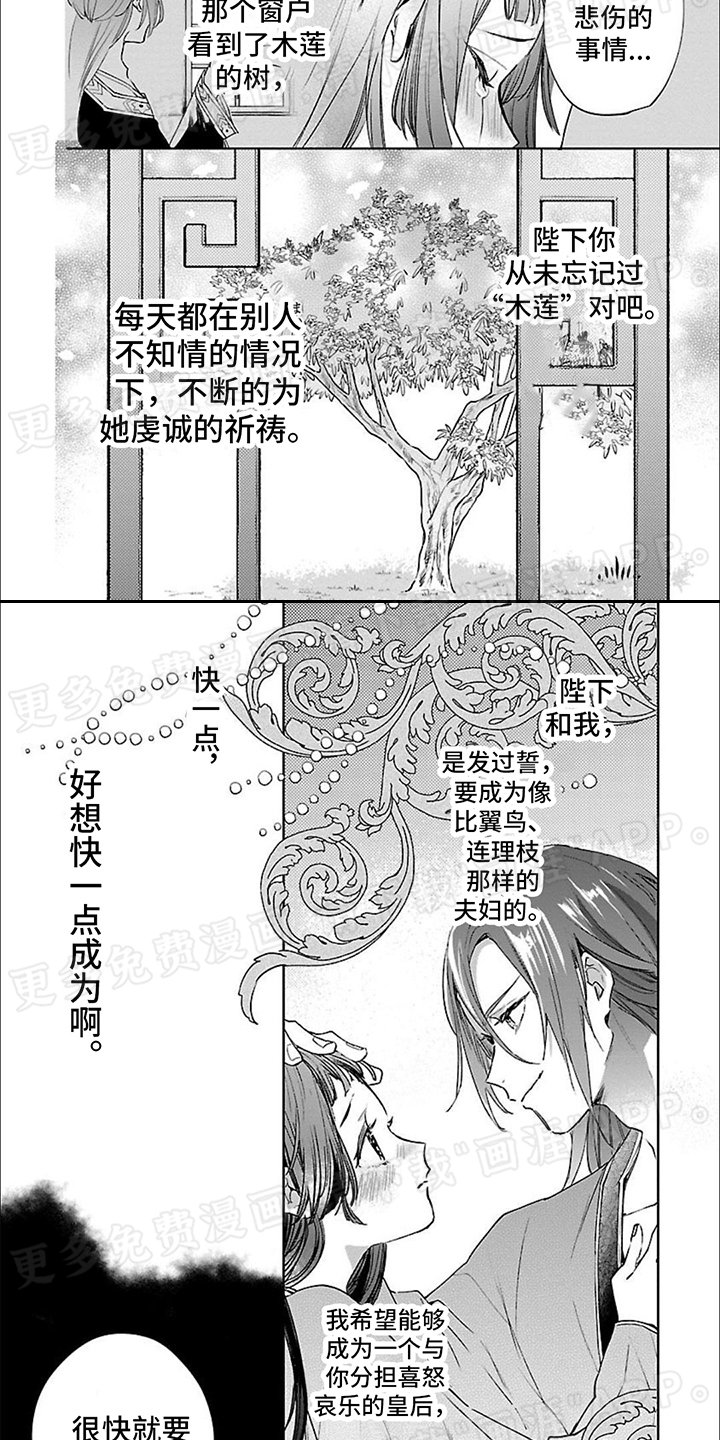 第15章：目之所及