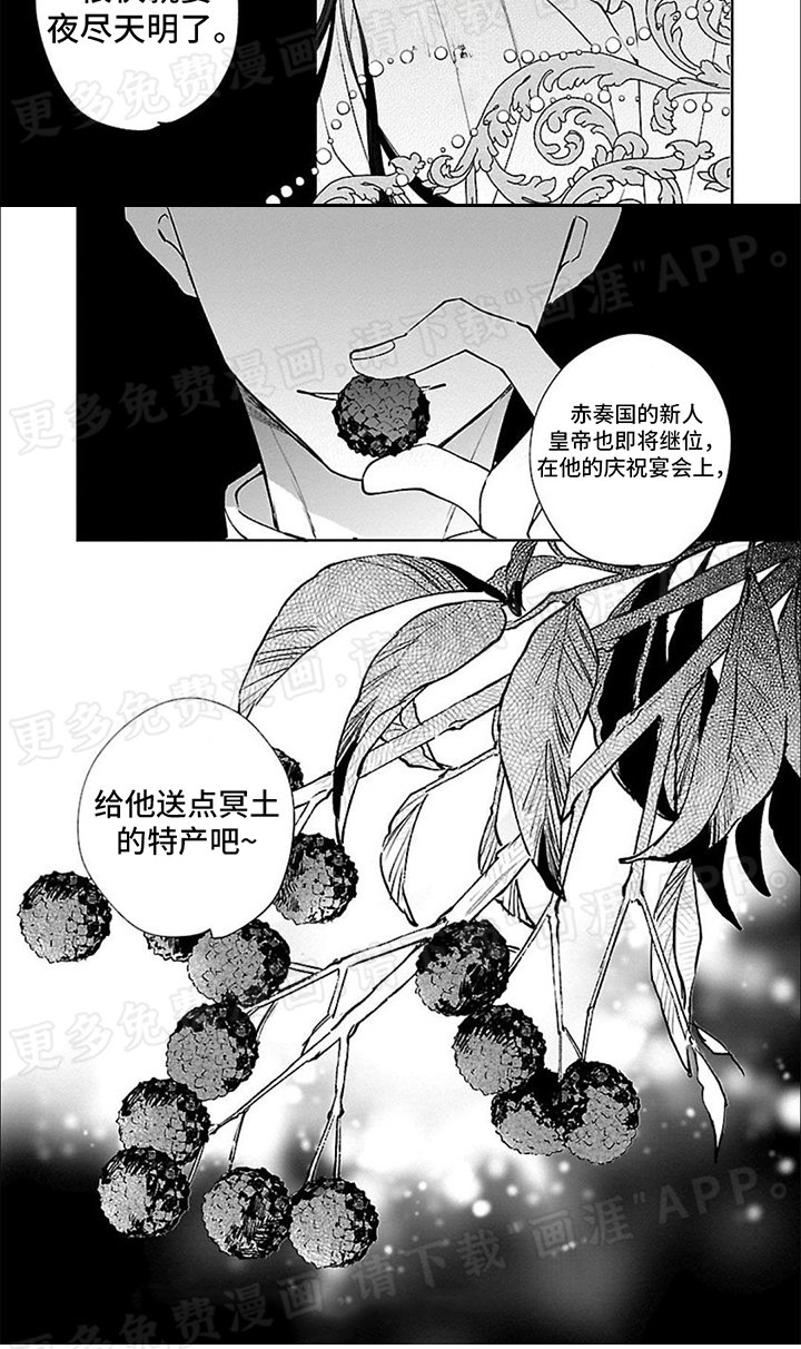 第15章：目之所及
