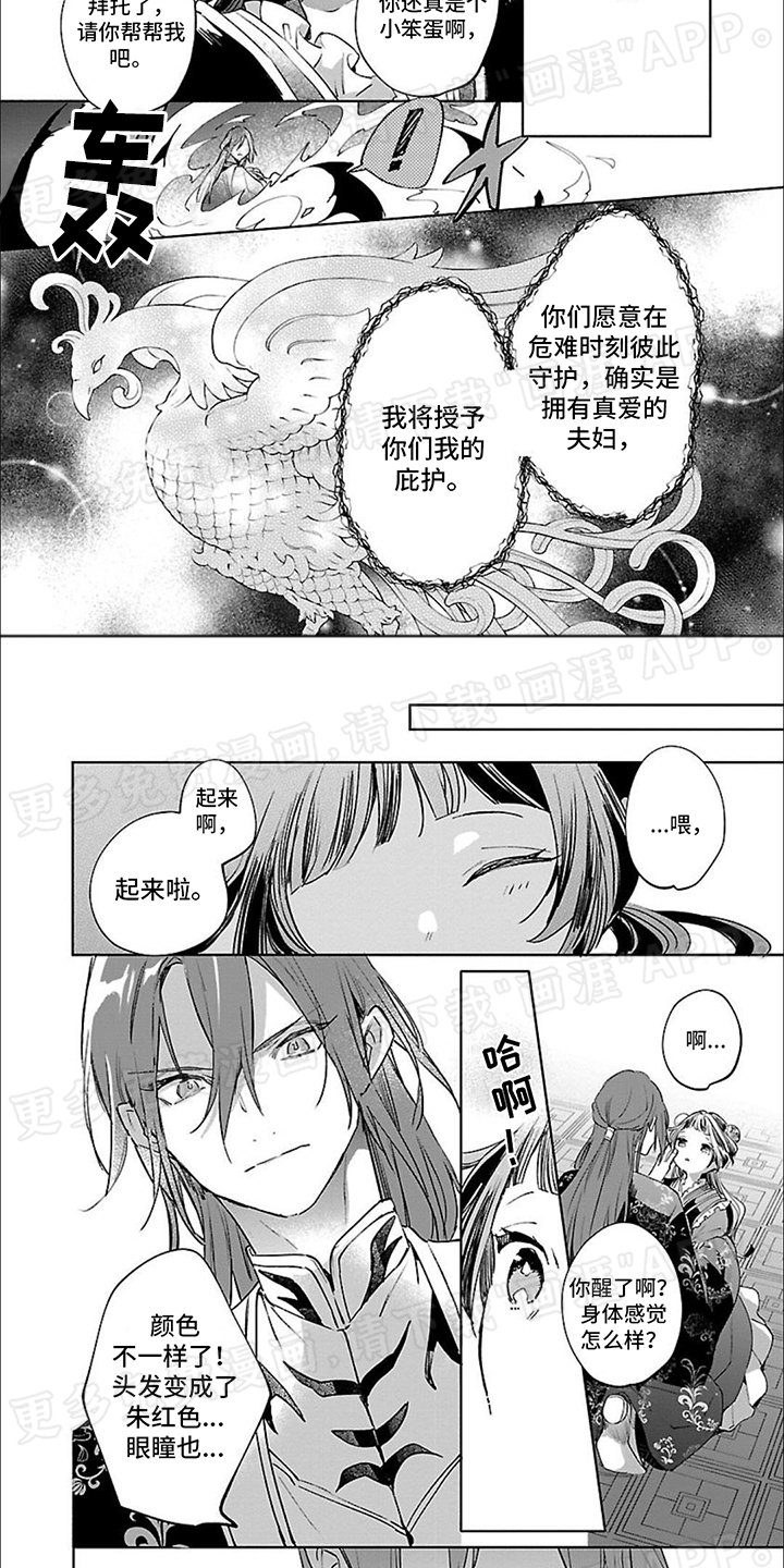 第3章：庇护