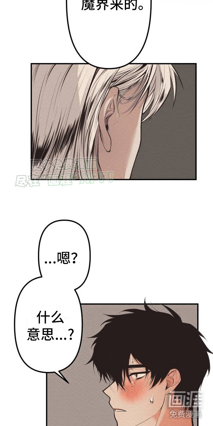 第1章：鬼主意