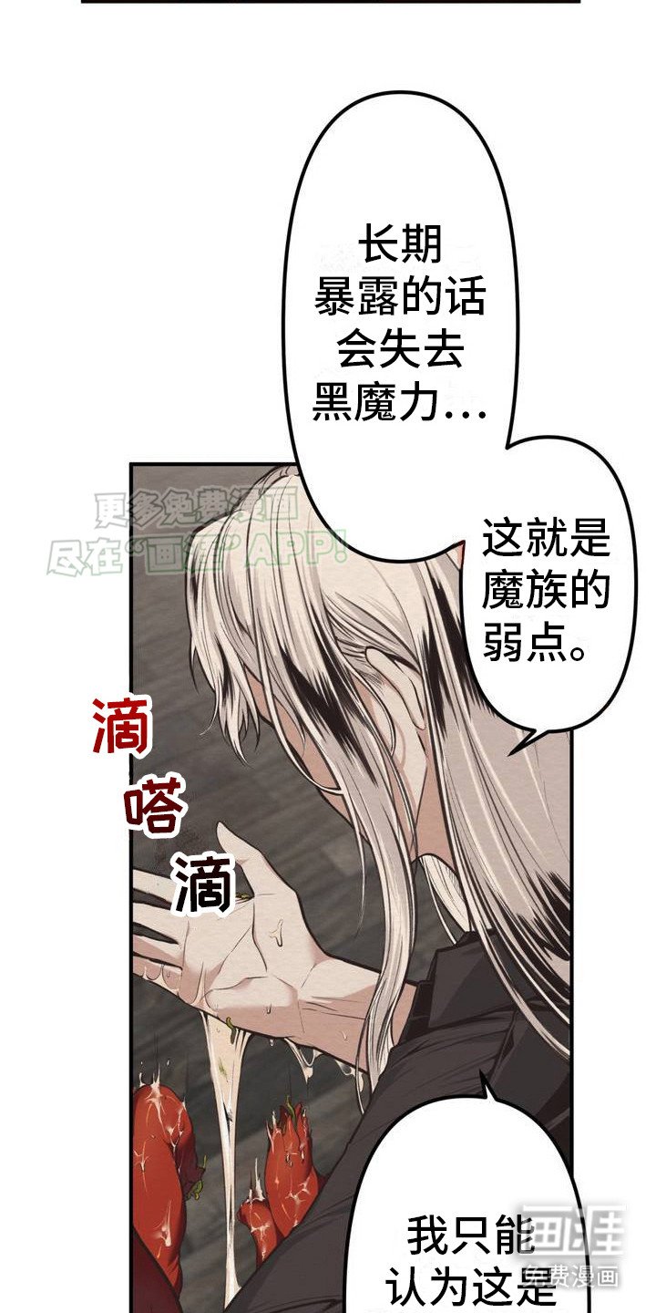 第1章：鬼主意