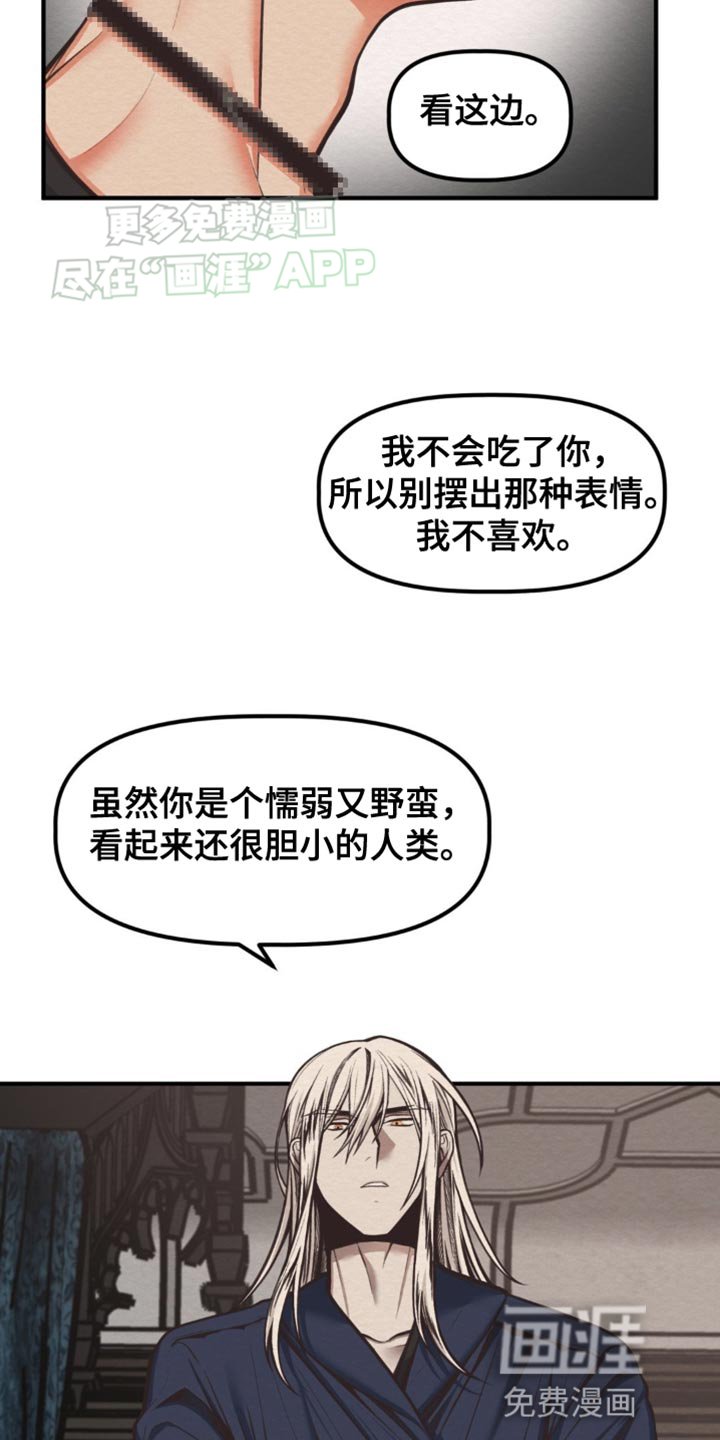 第15章：更深的沼泽