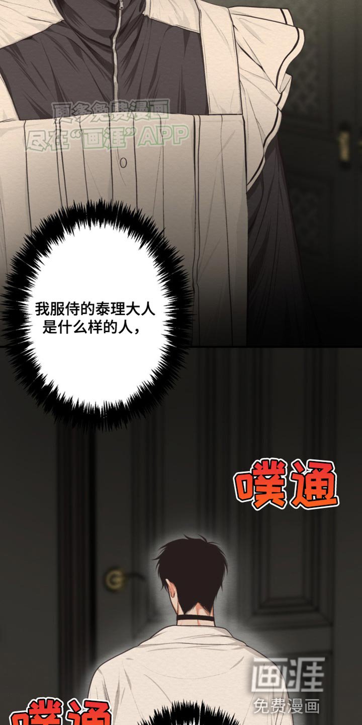 第19章：我的错觉