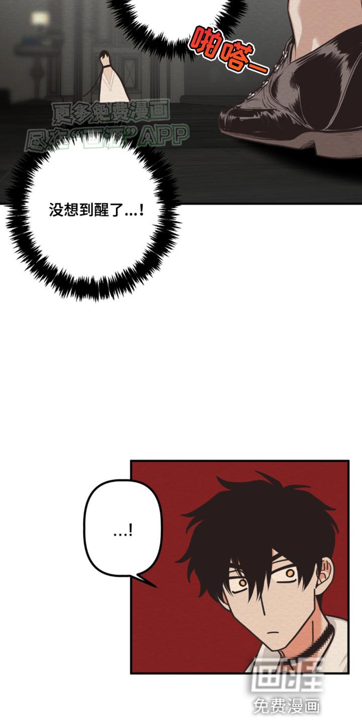 第19章：我的错觉