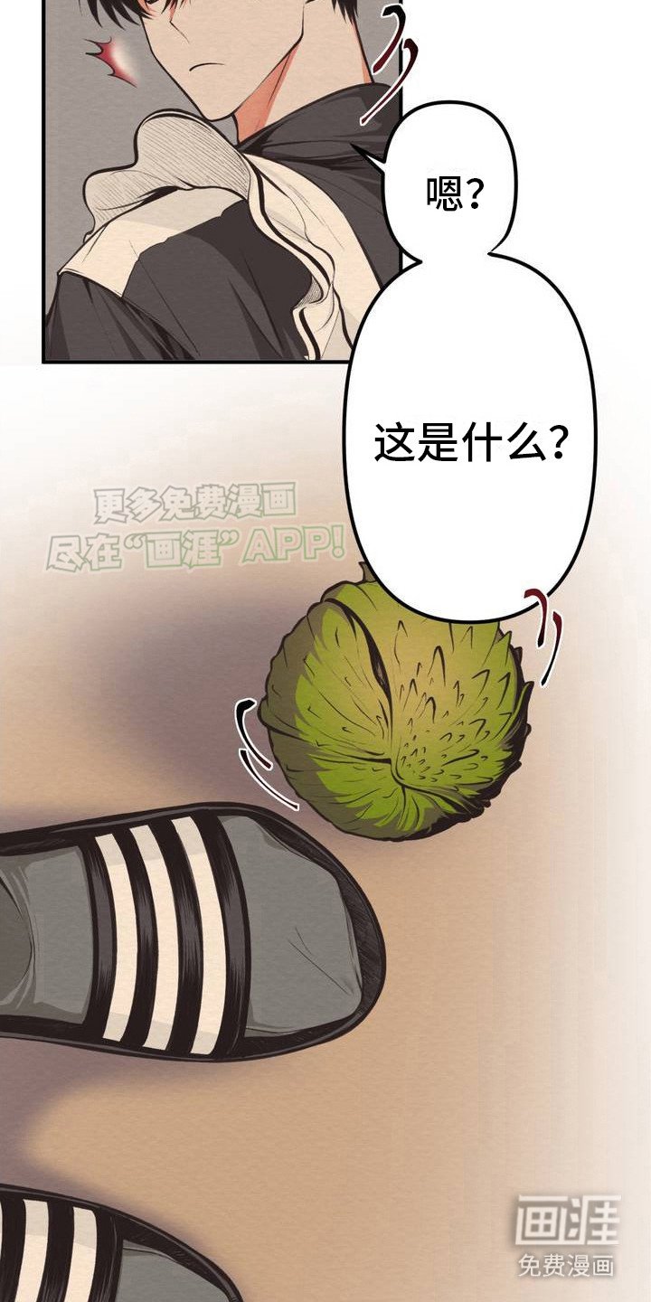 第2章： 魔族