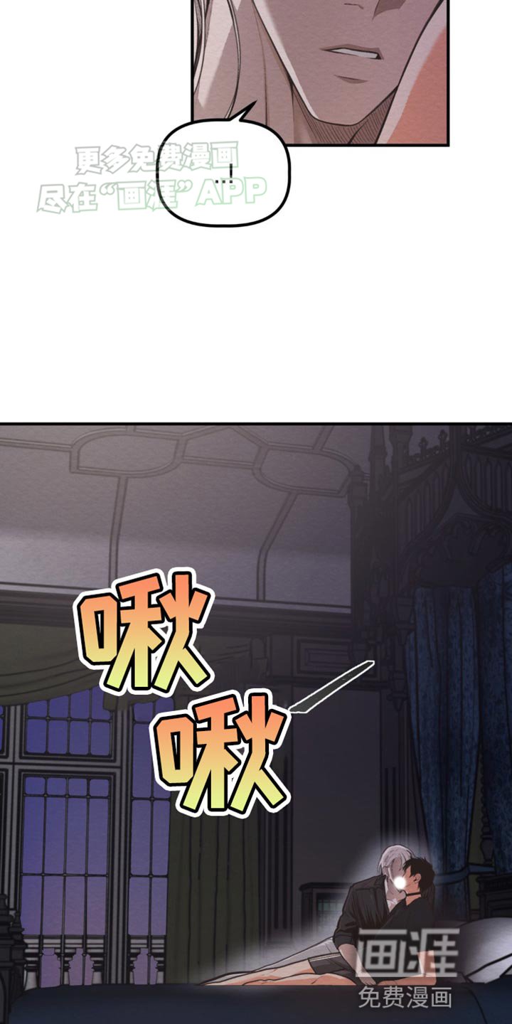 第21章：有趣的城市
