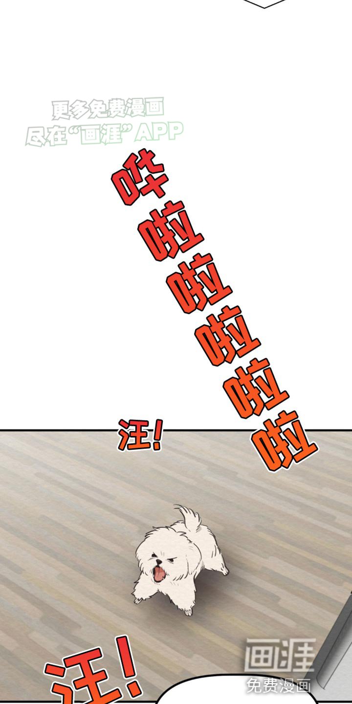 第21章：有趣的城市