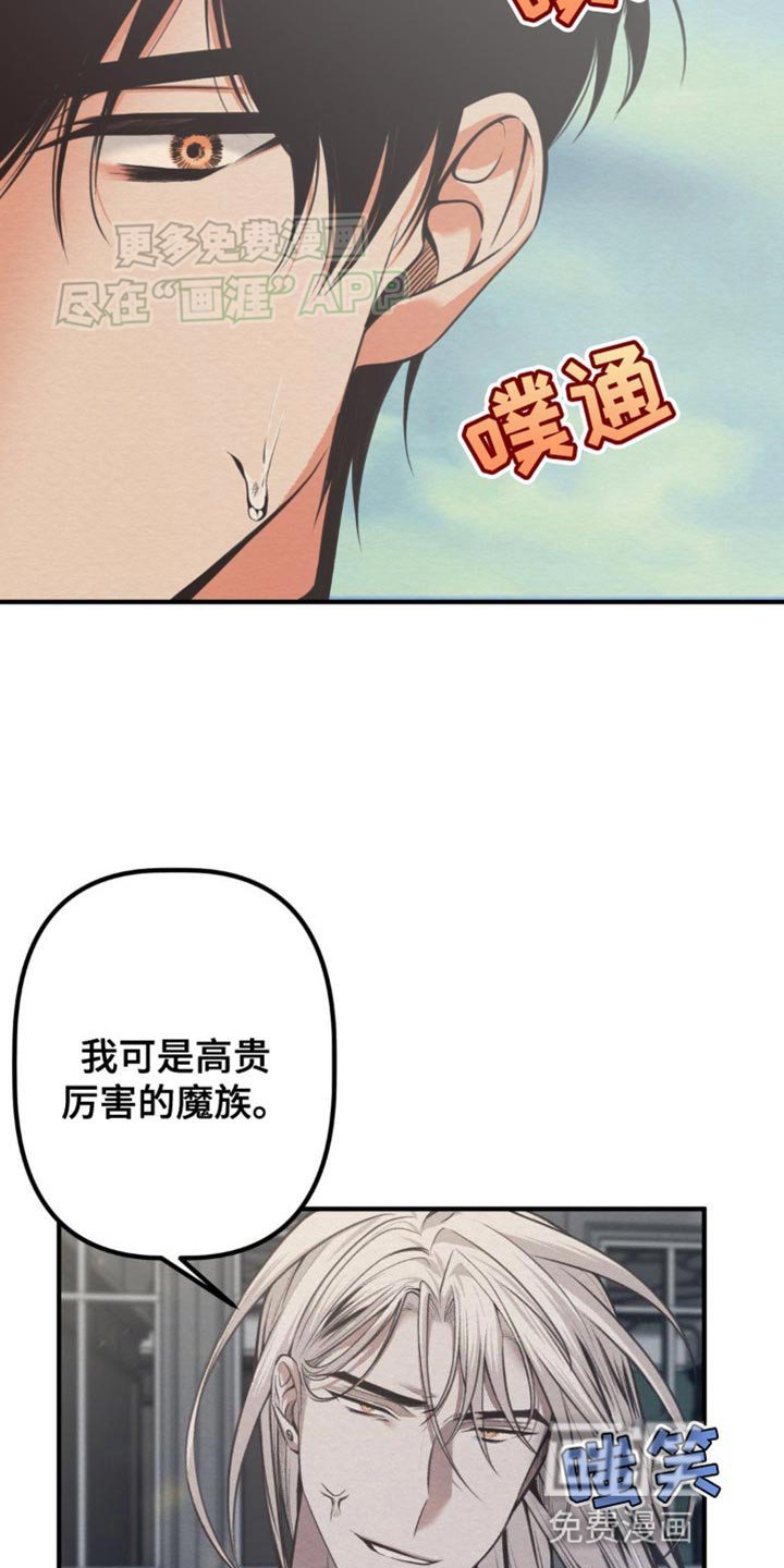 第23章：放开了我