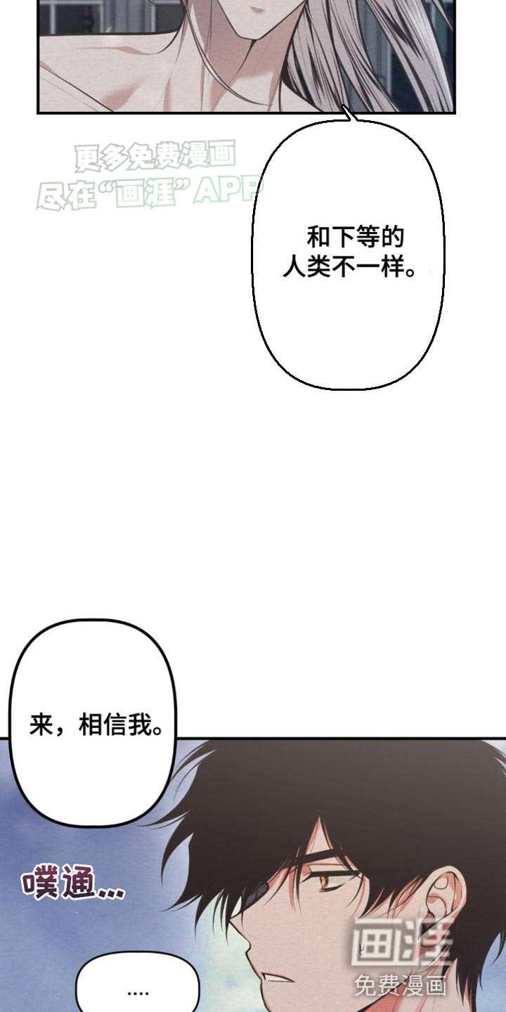 第23章：放开了我