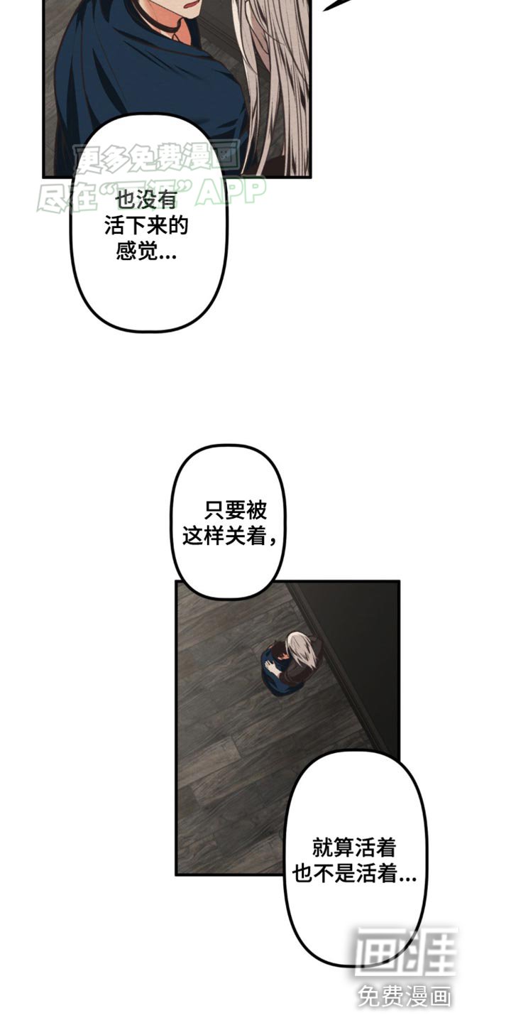第24章：下定决心