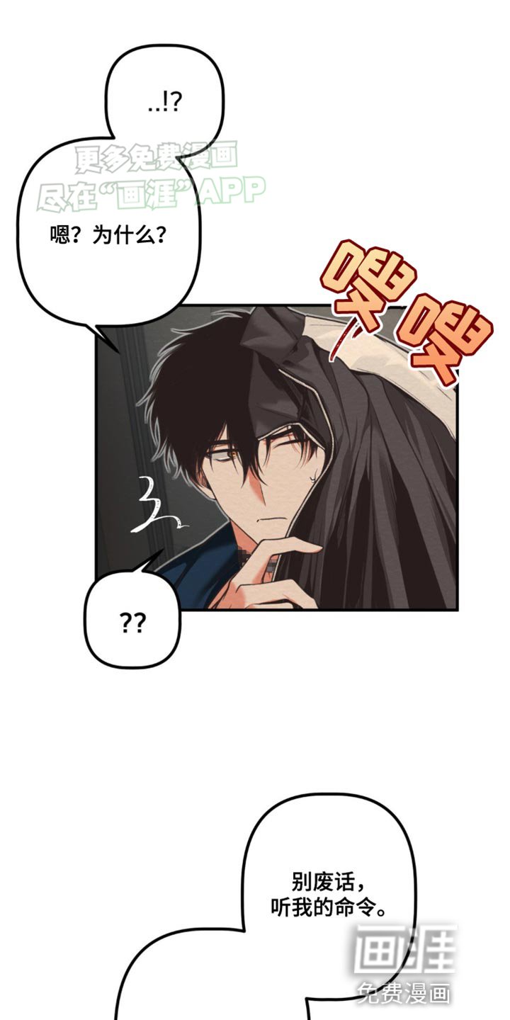 第25章：该死的种族