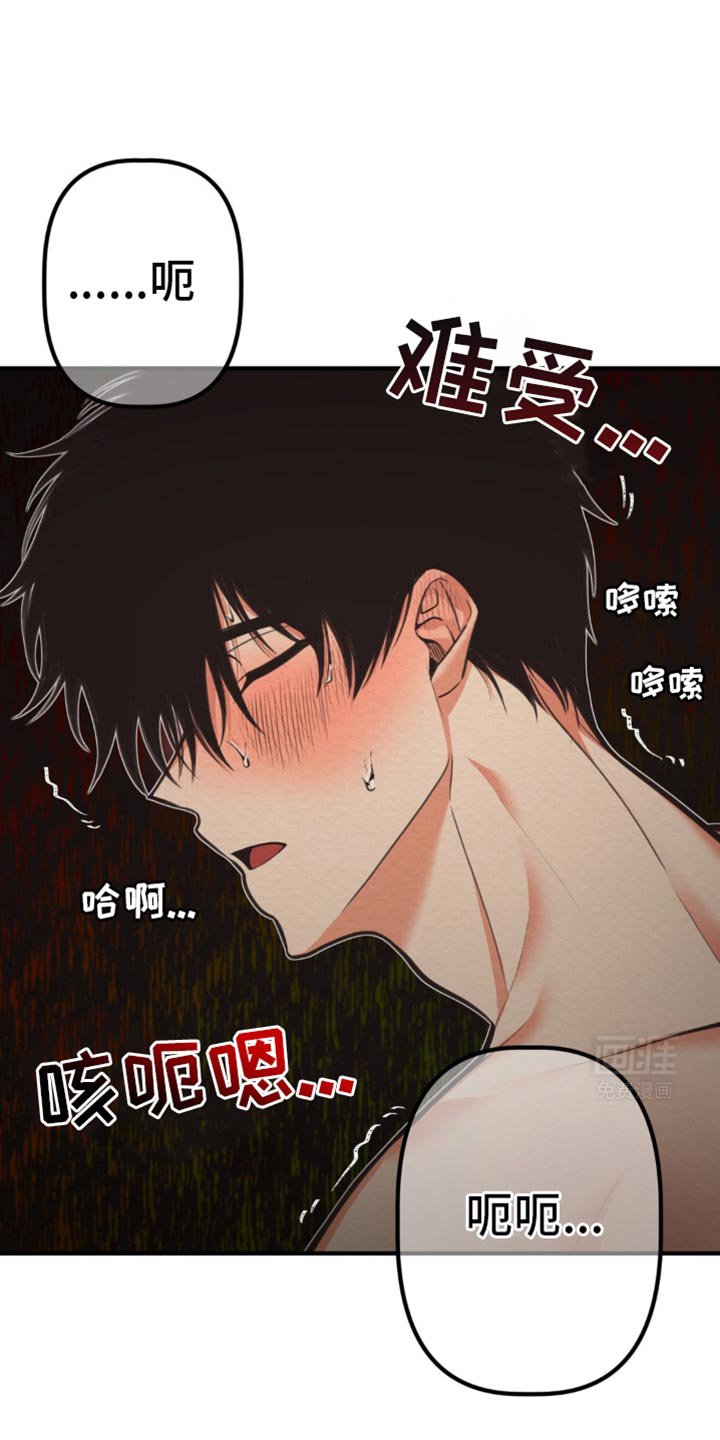 第29章：这是什么意思