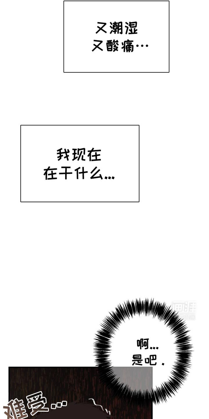 第29章：这是什么意思