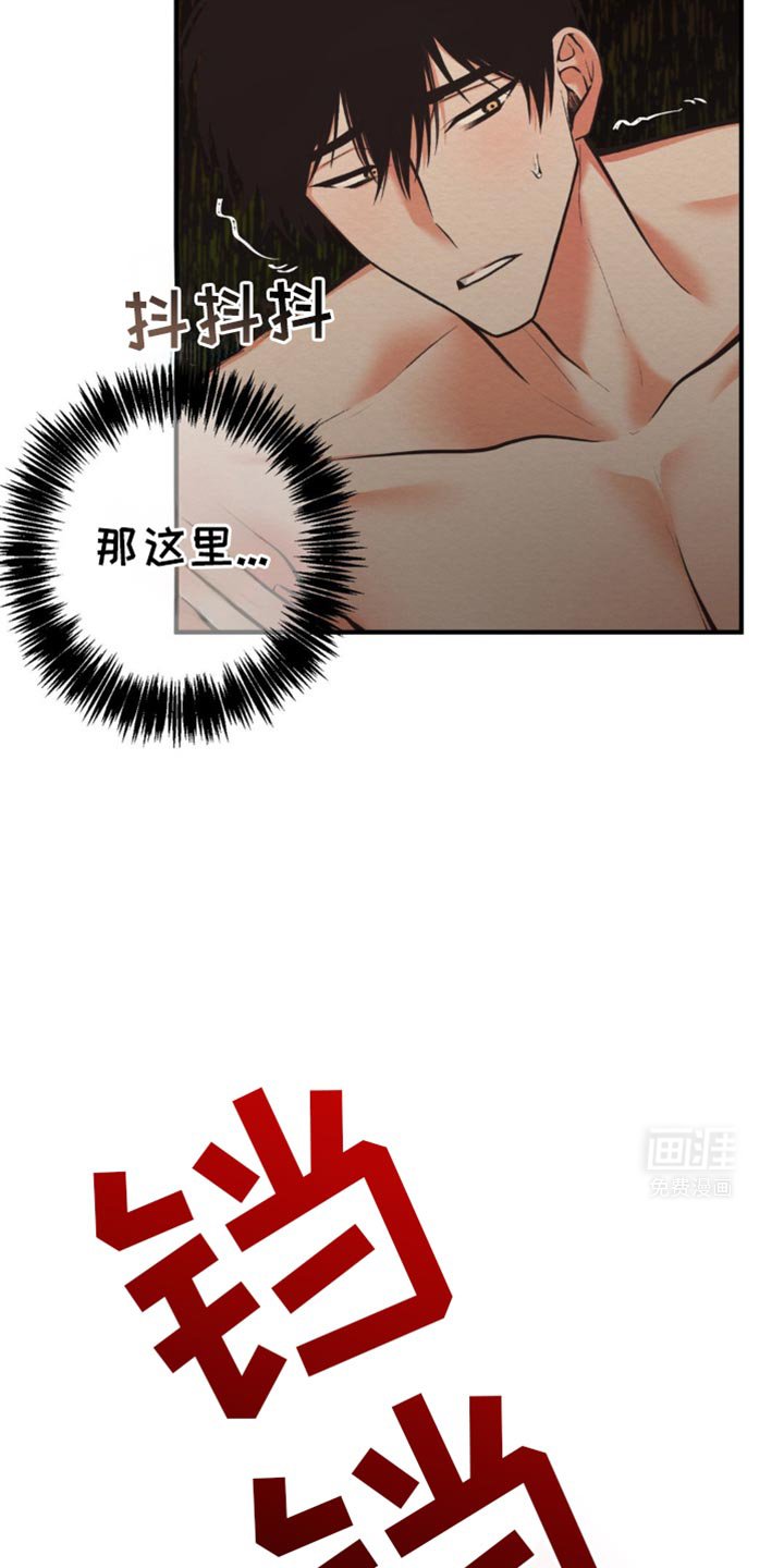第29章：这是什么意思