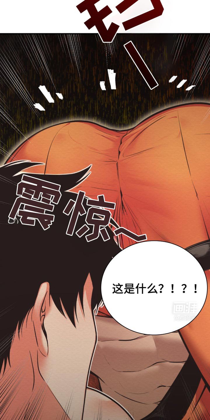 第29章：这是什么意思