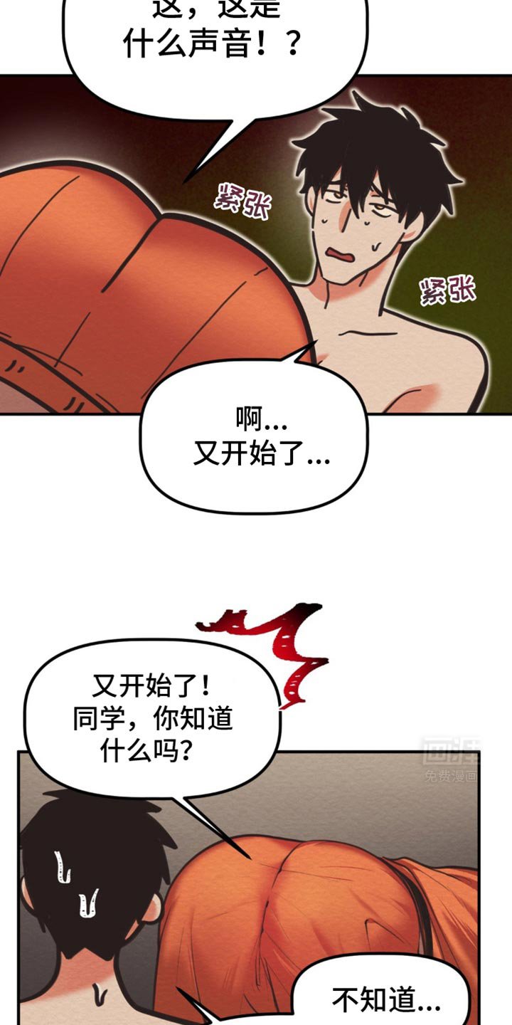 第29章：这是什么意思