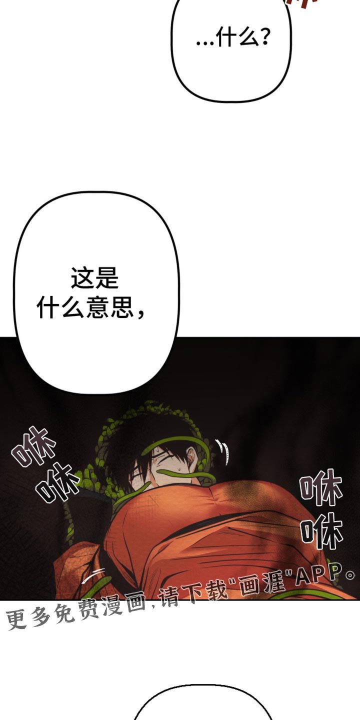 第29章：这是什么意思