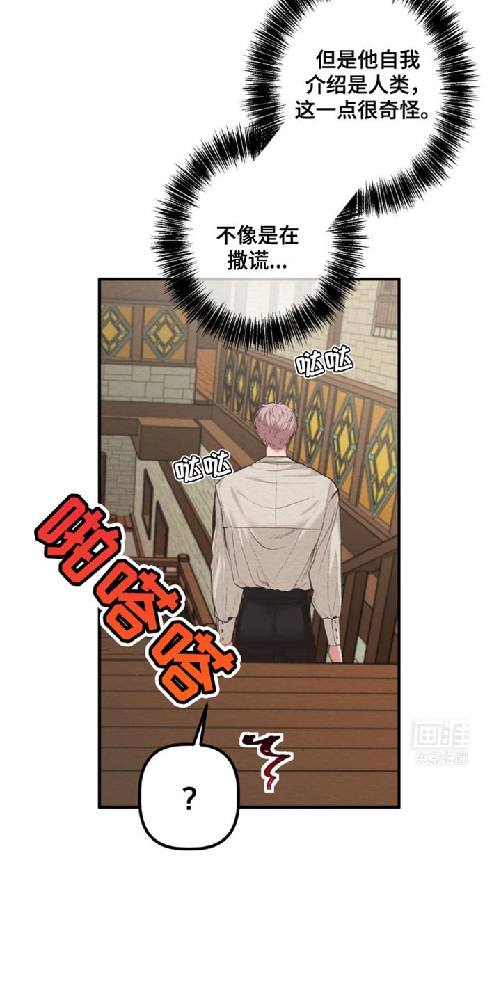 第35章：肯定很梦幻！