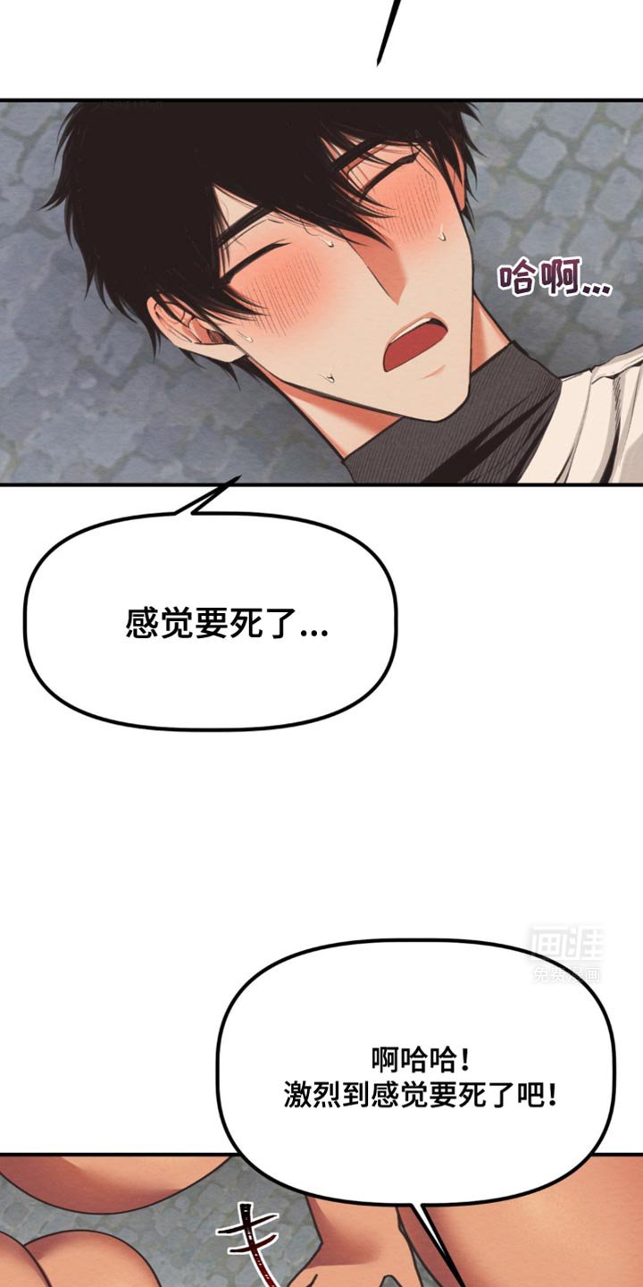 第37章：守护和平