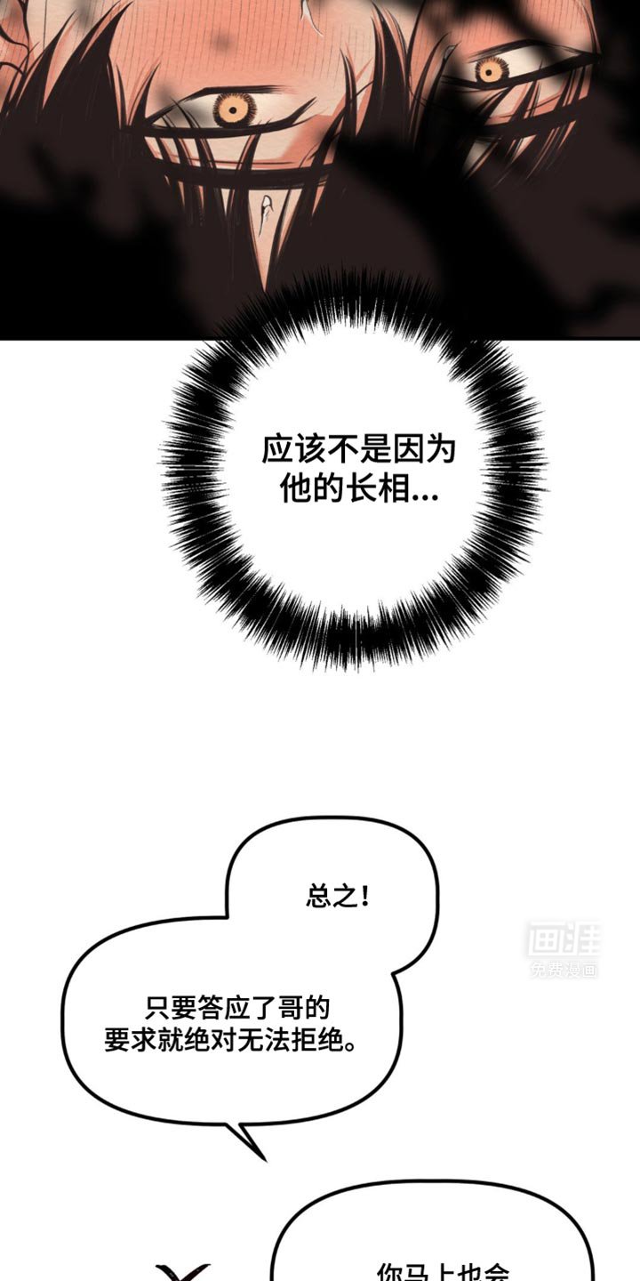 第37章：守护和平