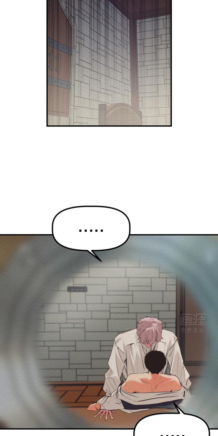 第39章：到底打算干什么
