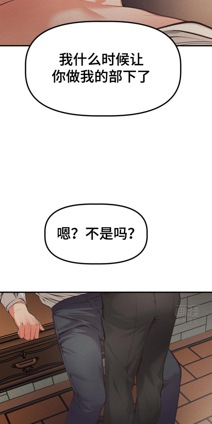 第39章：到底打算干什么