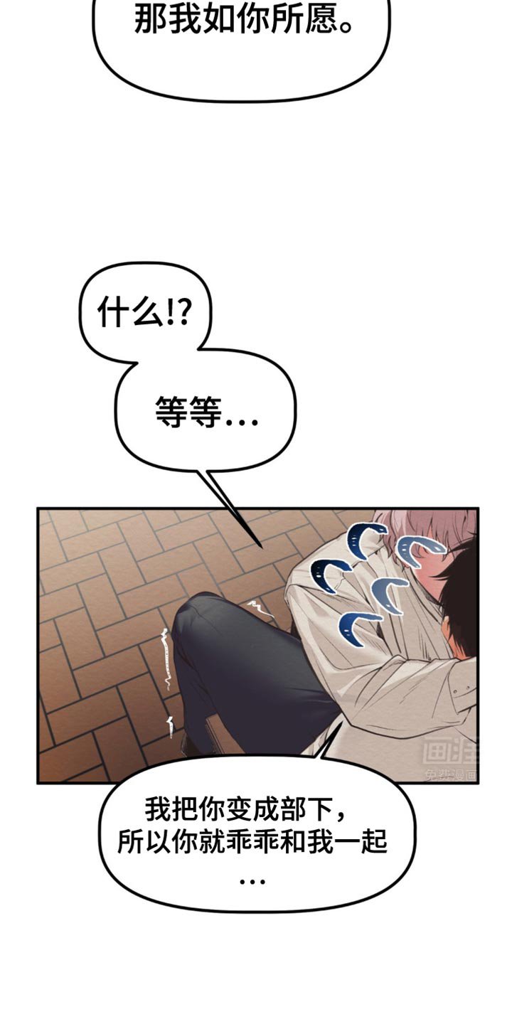第39章：到底打算干什么