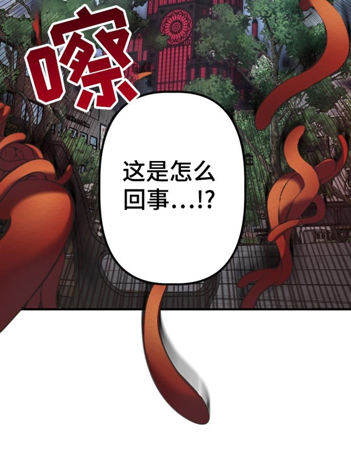 第39章：到底打算干什么