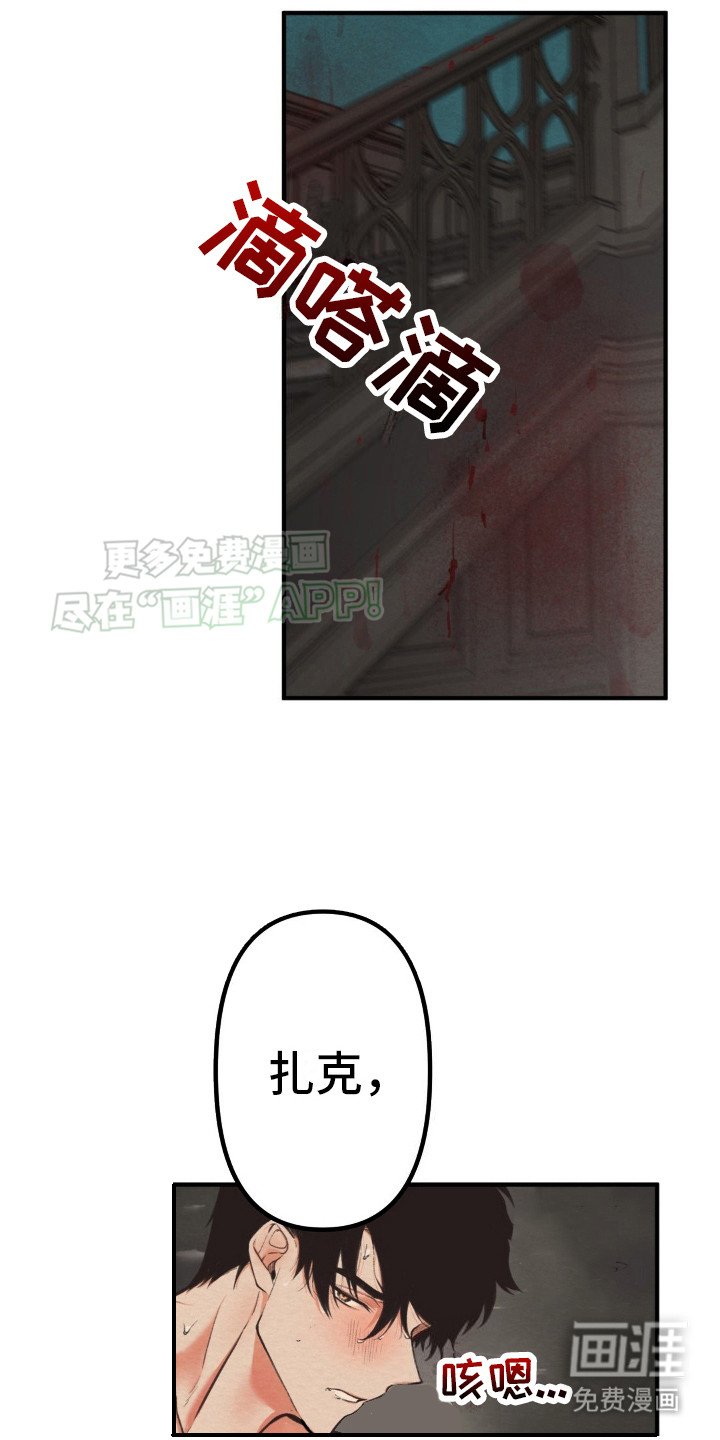 第4章：解释