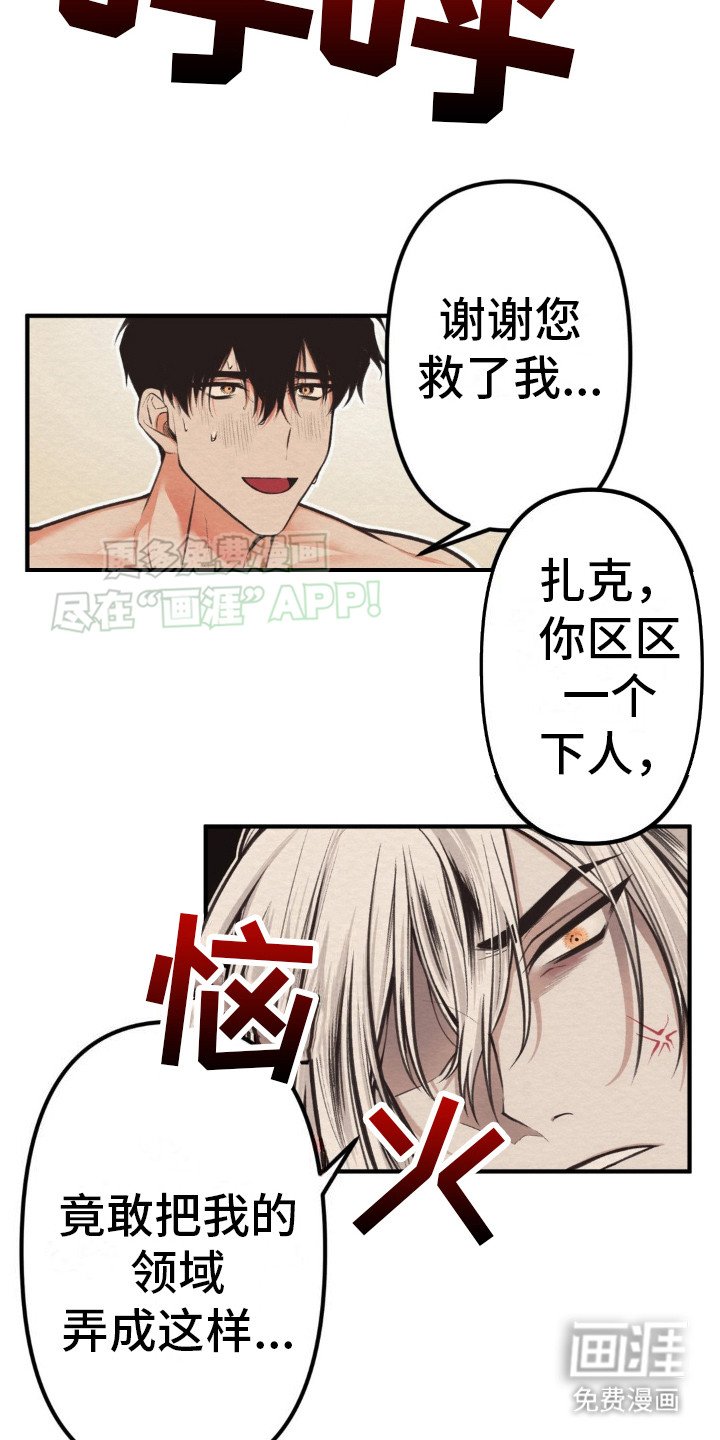 第4章：解释