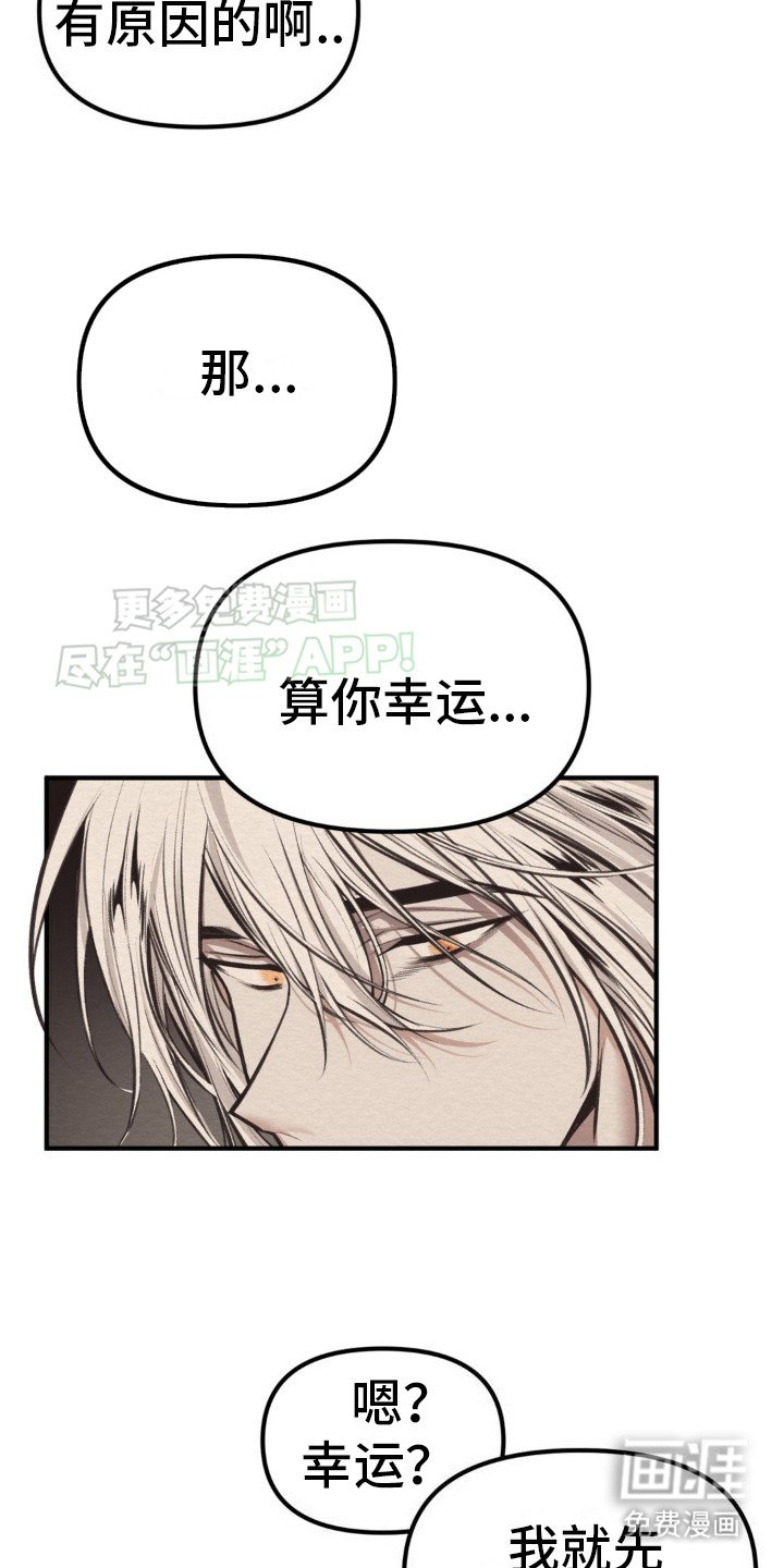 第4章：解释