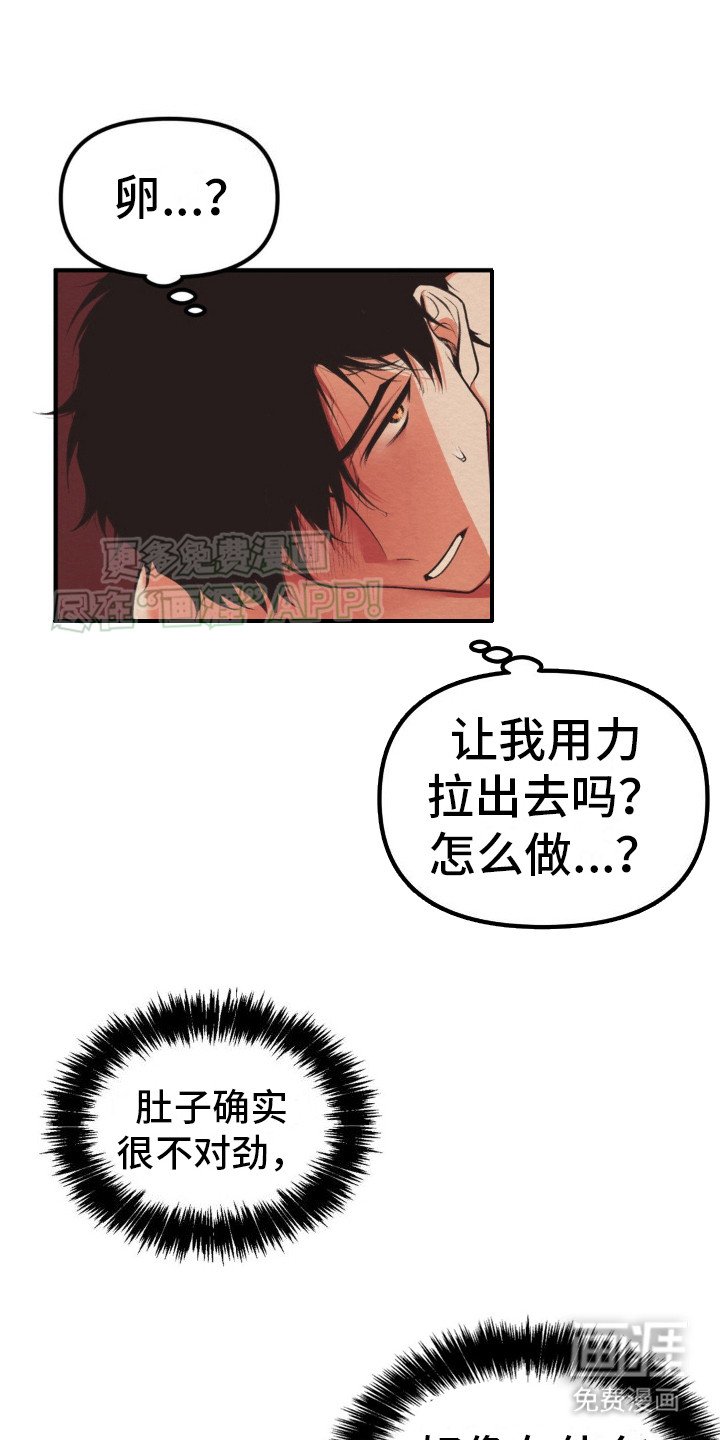 第5章：所有物